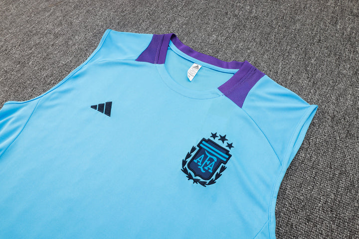 Regata Argentina 24/25 - Azul/Roxo