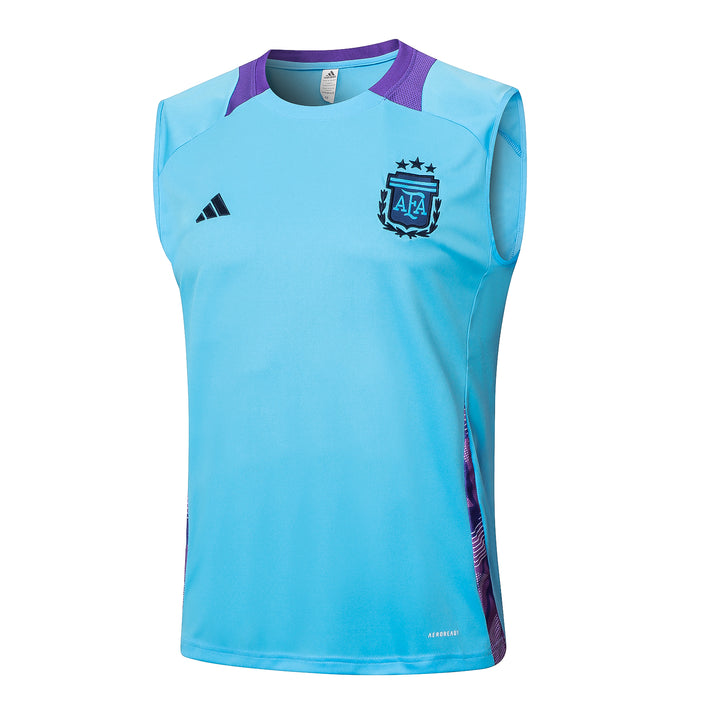 Regata Argentina 24/25 - Azul/Roxo