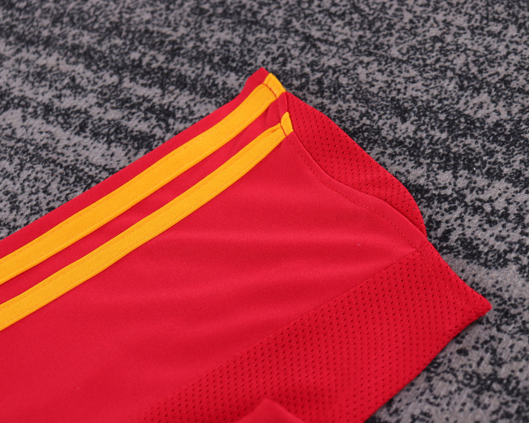Camisa Retrô Espanha 2008 Home Infantil – Belt Sports