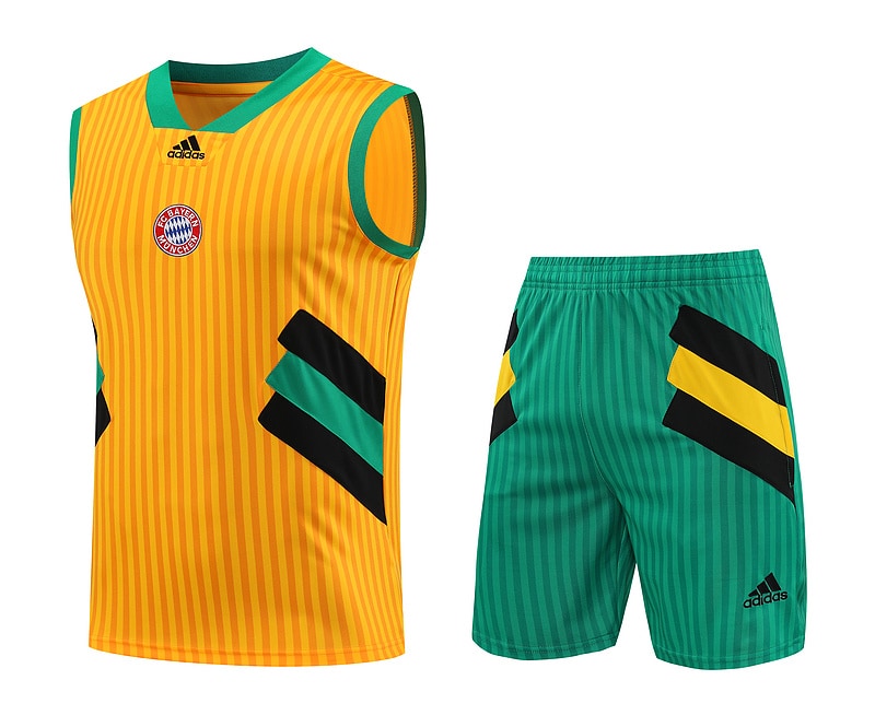 Camisa Retrô KIT REGATA BAYERN MUNICH 2023/24 – Belt Sports