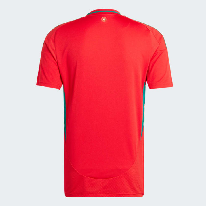 Camisa Pais de Gales 2024/25 Home