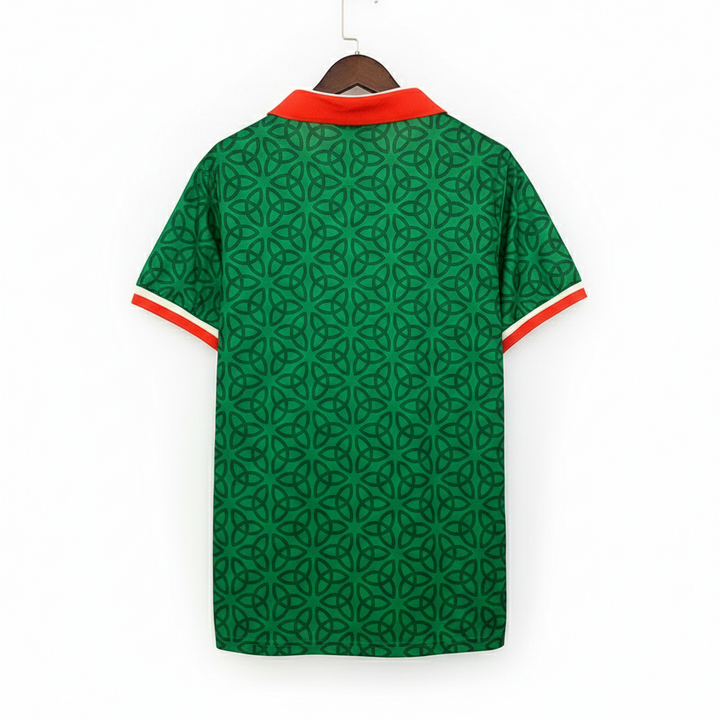 Camisa Irlanda Home 25/26