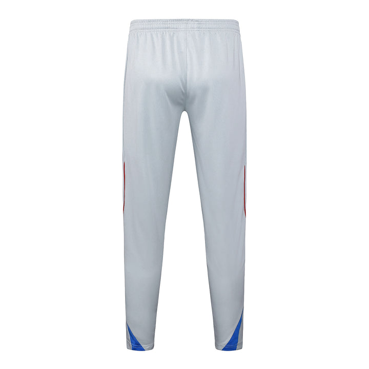 Conjunto Treino Bayern Munich 25/26 - Cinza