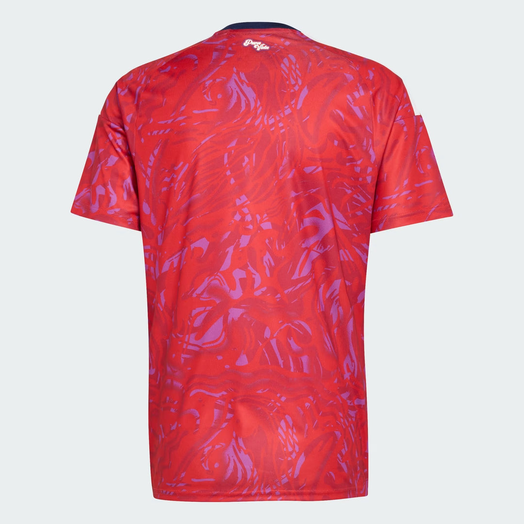 Camisa Costa Rica Home 2026 - Masculina