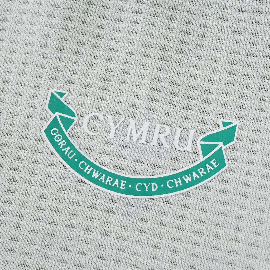 Camisa Pais de Gales Away 2026 - Versão Jogador