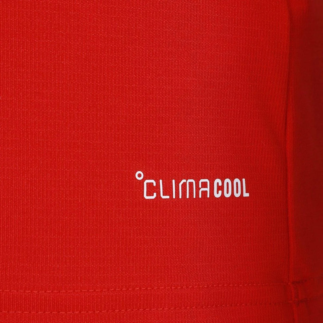 Camisa Pais de Gales Home 2026