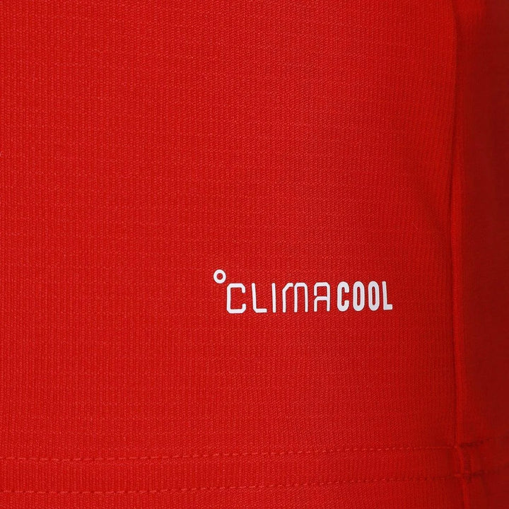 Camisa Pais de Gales Home 2026