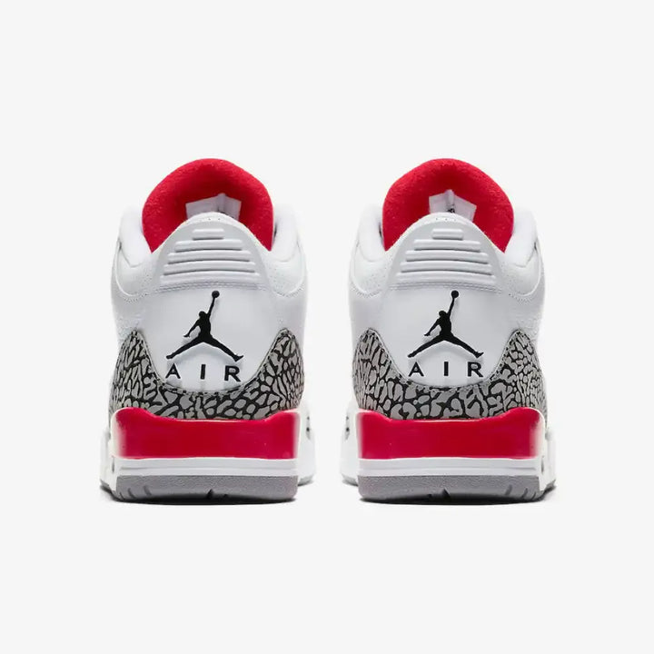 Jordan 3 Retro Hall of Fame