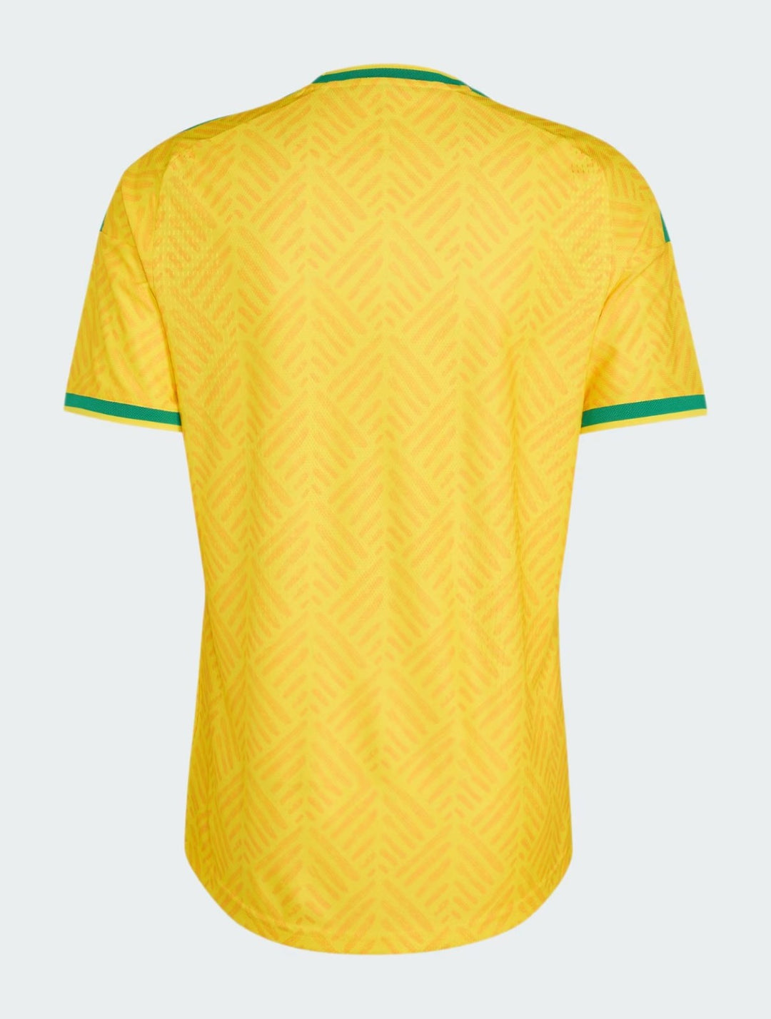 Camisa África do Sul Home 2026
